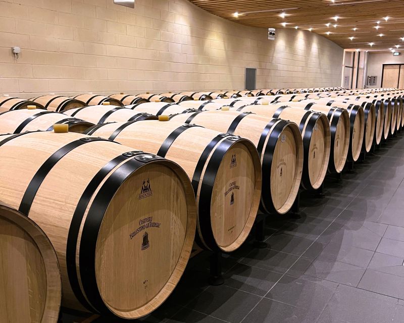 Bordeaux: St-Emilion Vineyards e-Bike Tour with Wine & Lunch - Riding past St-Emilion and Pomerol estates