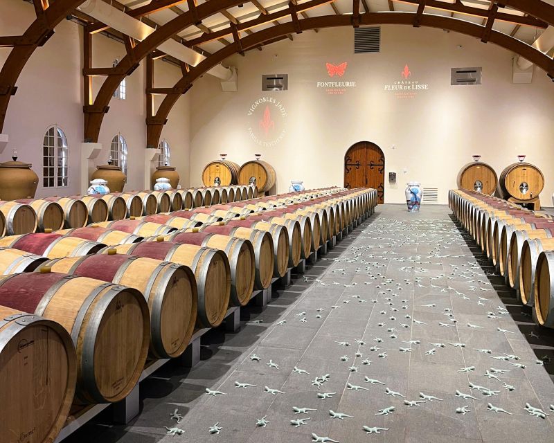 Bordeaux: St-Emilion Vineyards e-Bike Tour with Wine & Lunch - Who will enjoy this St-Emilion day most?
