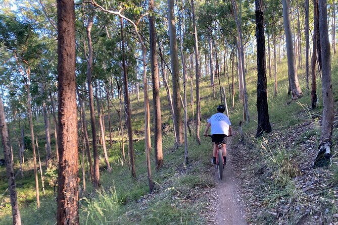 Brisbane Electric Mountain Bike Experience Tour - What a Mount Coot-Tha local adds