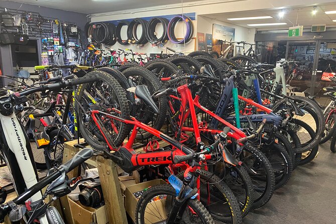 Brisbane Electric Mountain Bike Experience Tour - Bikes, protection, and the electric option