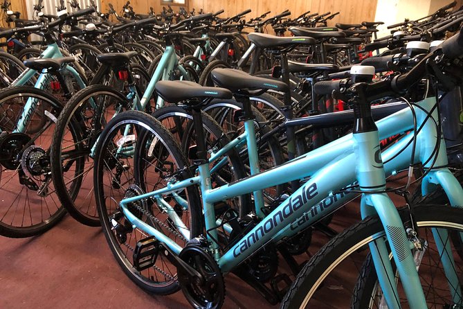 Brooklyn Neighborhoods Small-Group Bike Tour - DUMBO and the waterfront finish