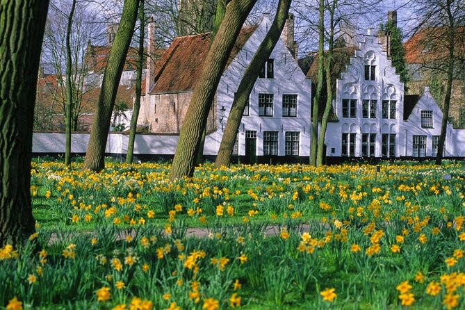 Bruges by bike with friends and family! - Key points to know before you book