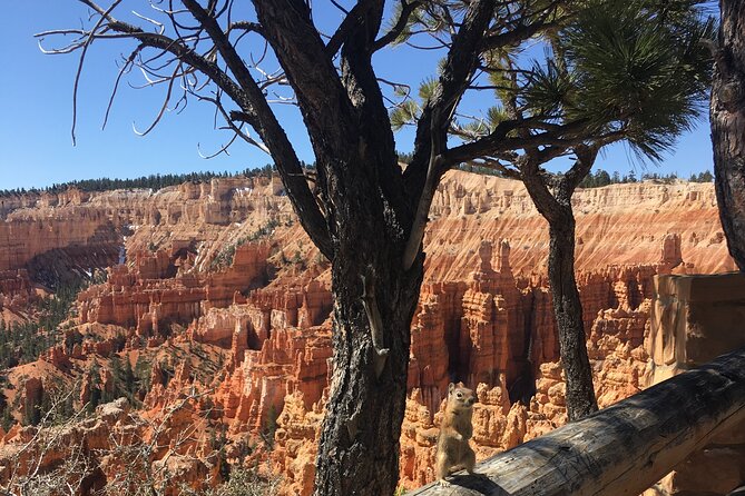 Bryce Canyon E-bike Tour - Fairyland and Bryce Canyon amphitheaters