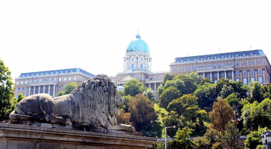 Budapest: Guided City Tour by E-Bike - Batthyany Square and the climb to Buda Castle