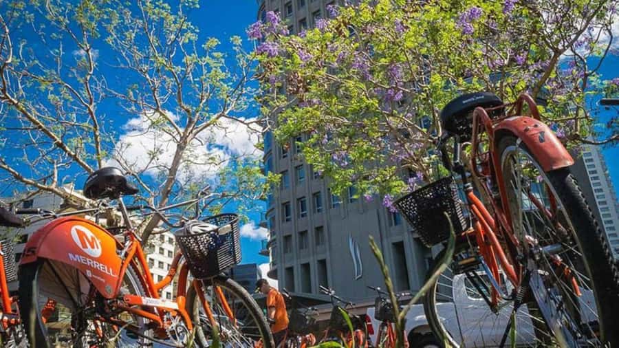 Buenos Aires Bike Tour: South or North Circuit - Is the $50 price good value?