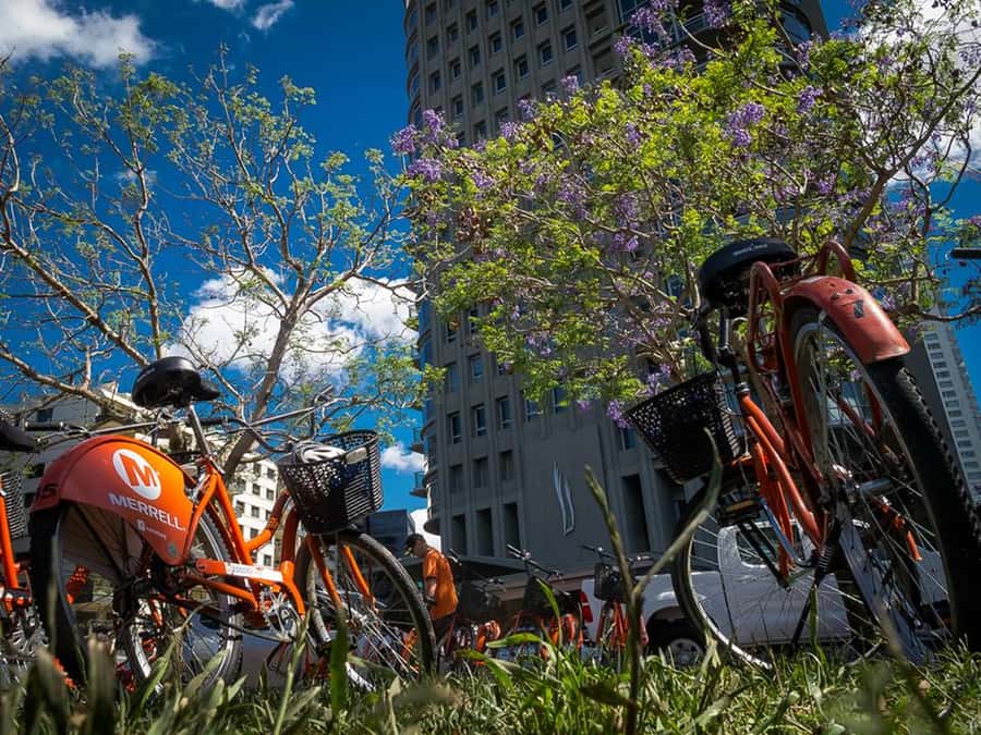 Buenos Aires Bike Tour: South or North Circuit - South Circuit: San Telmo’s old streets and tango heart