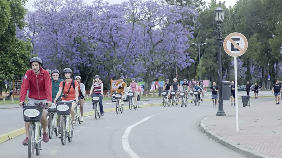 Buenos Aires: North or South Buenos Aires Bike Tour - Who should book the North or South route?