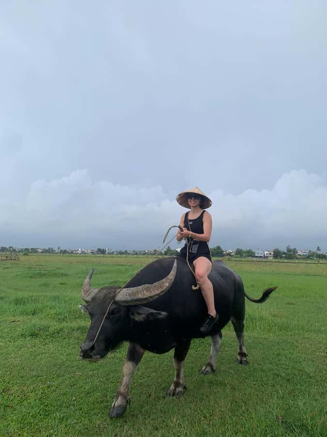 BUFFALO RIDING -BASKET BOAT & BIKE TOUR-HOI AN - How much value do you get for $29?