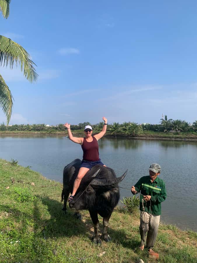 BUFFALO RIDING -BASKET BOAT & BIKE TOUR-HOI AN - Riding and feeding the buffalo
