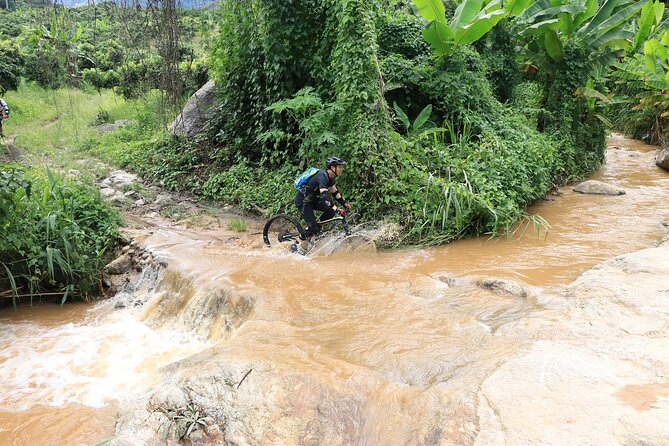Buffalo Soldier Full Day Mountain Biking Tour Chiang Mai - Lunch at the trail side and afternoon snacks