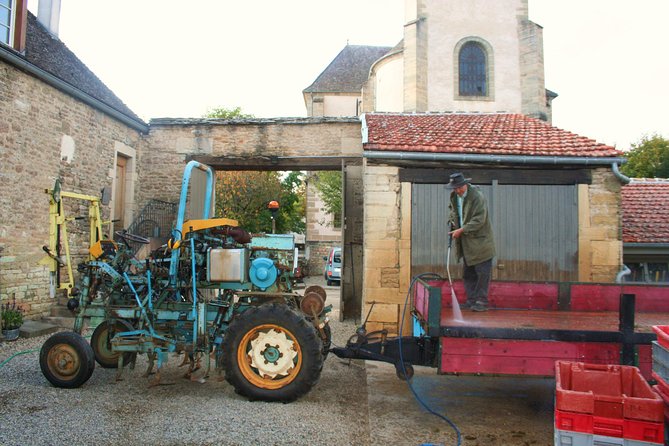 Burgundy Bike Tour with Wine Tasting from Beaune - Puligny-Montrachet and a 90-minute French lunch