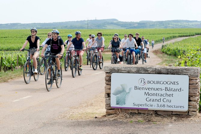 Burgundy Bike Tour with Wine Tasting from Beaune - The hills, the heat, and choosing your bicycle