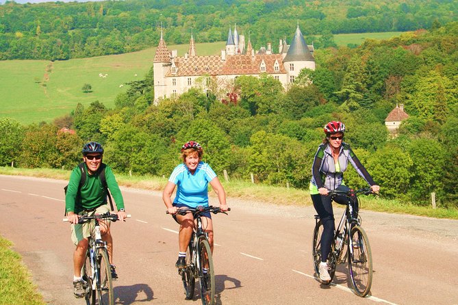 Burgundy Bike Tour with Wine Tasting from Beaune - What the $253.95 price includes