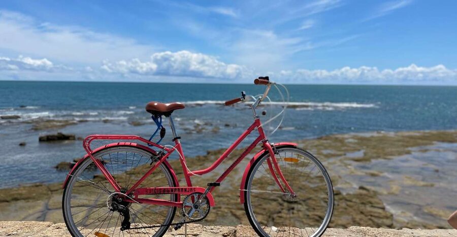Cadiz: City Bike Tour - Who should book this Cádiz ride?