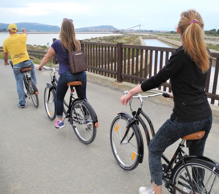 Cagliari: Bike Tour in the Flamingo Oasis - Molentargius Natural Park and the old salt ponds