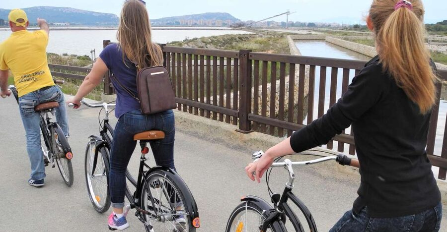 Cagliari: Bike Tour in the Flamingo Oasis - Who will enjoy this Cagliari bike tour?