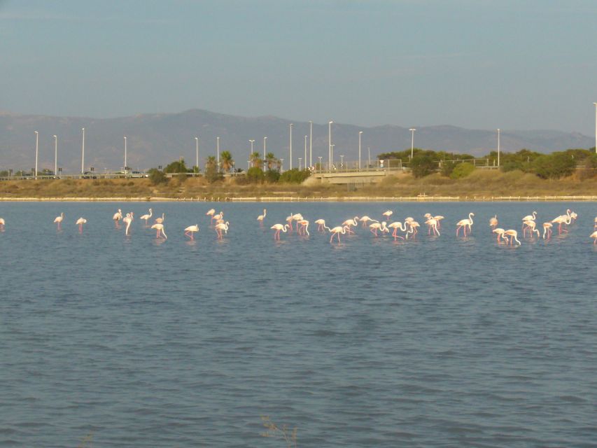 Cagliari: Bike Tour in the Flamingo Oasis - Via Roma and Molo Ichnusa: Cagliari’s waterfront opening