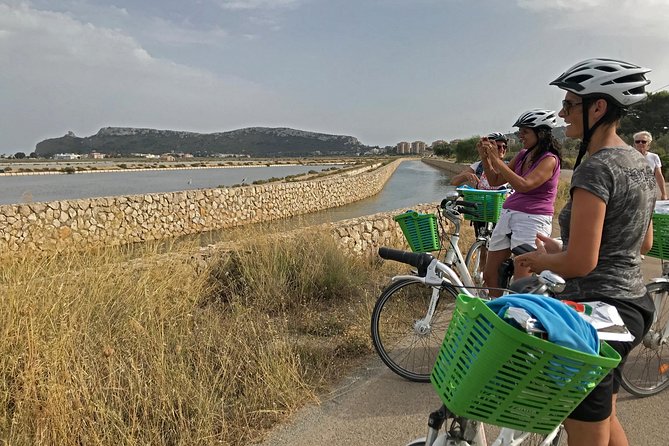 Cagliari E-Bike Tour: Gulf, Canals & Flamingos at Molentargius - Harbor air and the story of Bonaria