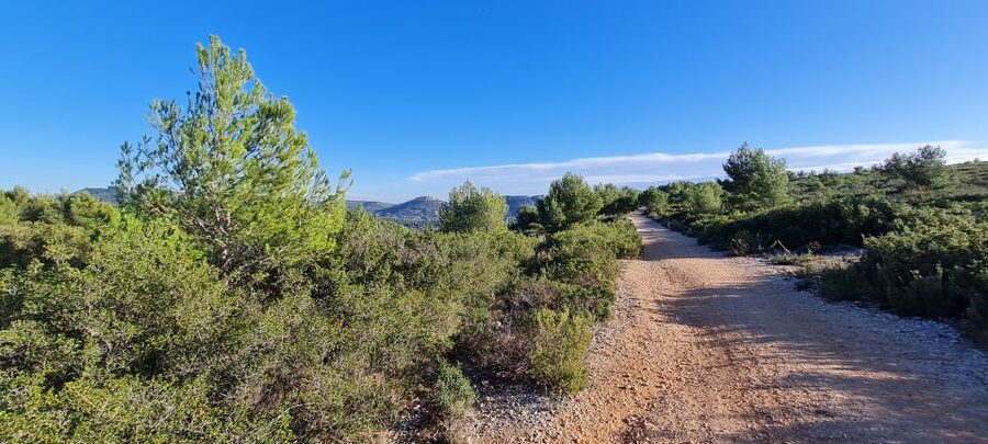 Calanques National Park: E-Mountain Bike with Virtual Guide - Who will enjoy this most?