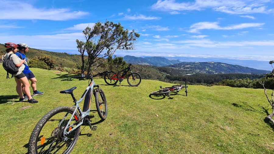 Camacha: Levada Trail e-Bike Guided Tour - What makes this ride worth your morning