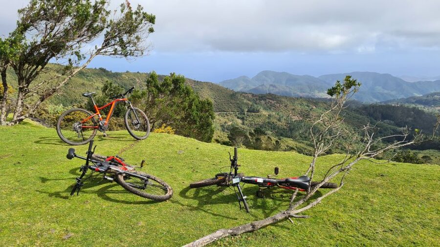 Camacha: Levada Trail e-Bike Guided Tour - Is $82 a fair price?