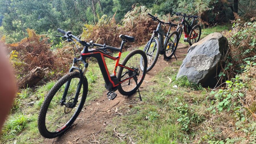 Camacha: Levada Trail e-Bike Guided Tour - Starting in Camacha, Madeira’s basket-making village