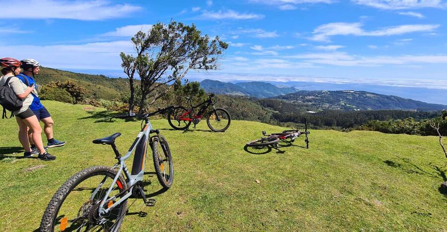 Camacha: Levada Trail e-Bike Guided Tour - The water mill and the funny-shaped tree