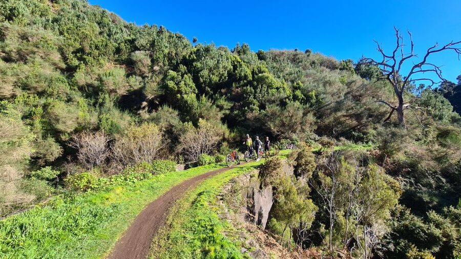 Camacha: Levada Trail e-Bike Guided Tour - The guides and the small-group advantage