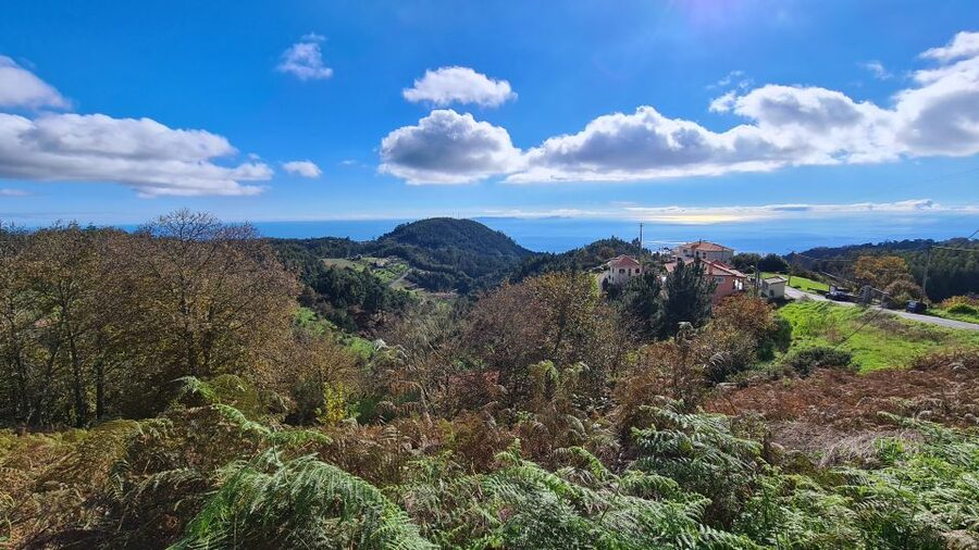 Camacha: Levada Trail e-Bike Guided Tour - Following the levada through eucalyptus and laurel forest