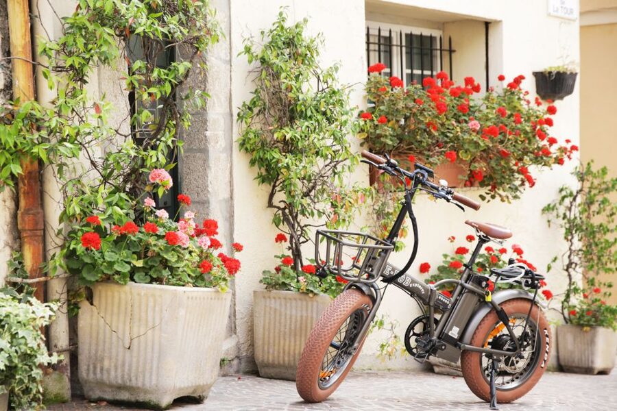 Cannes 2-Hour E-bike Tour - Cruise Port Timing Needs Care