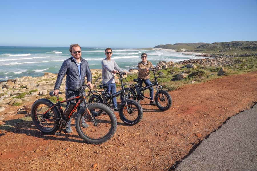 Cape Town: E-Bike Cape Peninsula Tour - Key points to know before booking