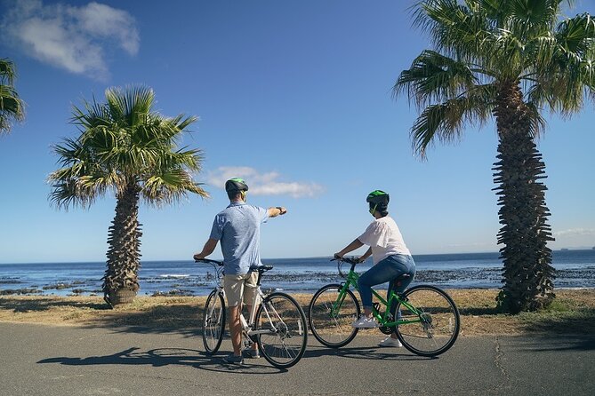 Cape Town's Finest City Bike Tour - Greenmarket Square and the sound of the city