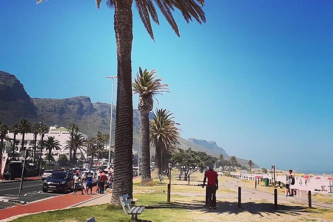 Cape Town's Finest City Bike Tour - A gentle finish at the V&A Waterfront