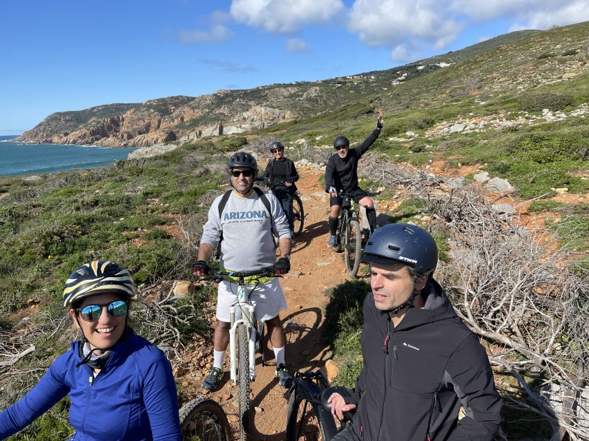 Cascais-Sintra E-bike Tour: Coast & Countryside Adventure - Climbing into Sintra-Cascais Natural Park