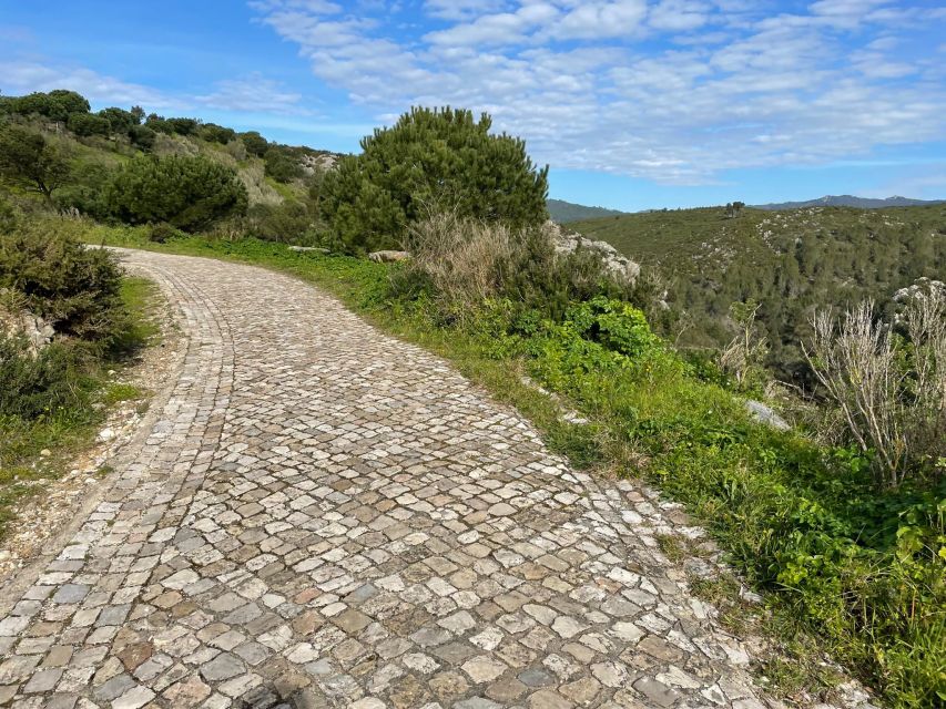Cascais-Sintra E-bike Tour: Coast & Countryside Adventure - Peninha views and the value of a guided pace