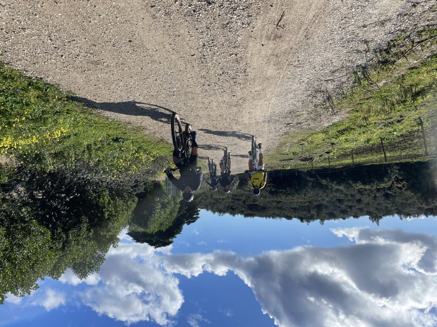 Cascais-Sintra E-bike Tour: Coast & Countryside Adventure - Who should book this ride