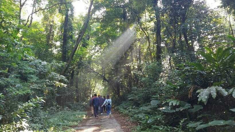 Cat Ba: National Park Day Trip with Cycling and Kayaking - Frog Pond and the Primary Forest