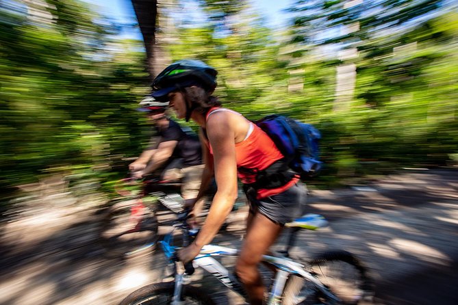 Cenotes trail jungle bike tour in Tulum with lunch - Price, group size, and overall value