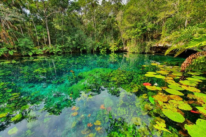 Cenotes trail jungle bike tour in Tulum with lunch - What to bring and what to expect