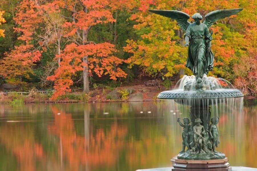 Central Park Bike Rental - Who should book this Central Park bike rental?