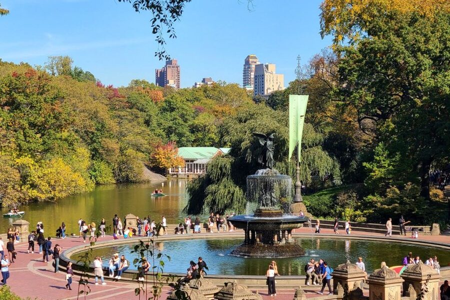 Central Park Tandem Bike Rentals - Riding from Midtown into Central Park