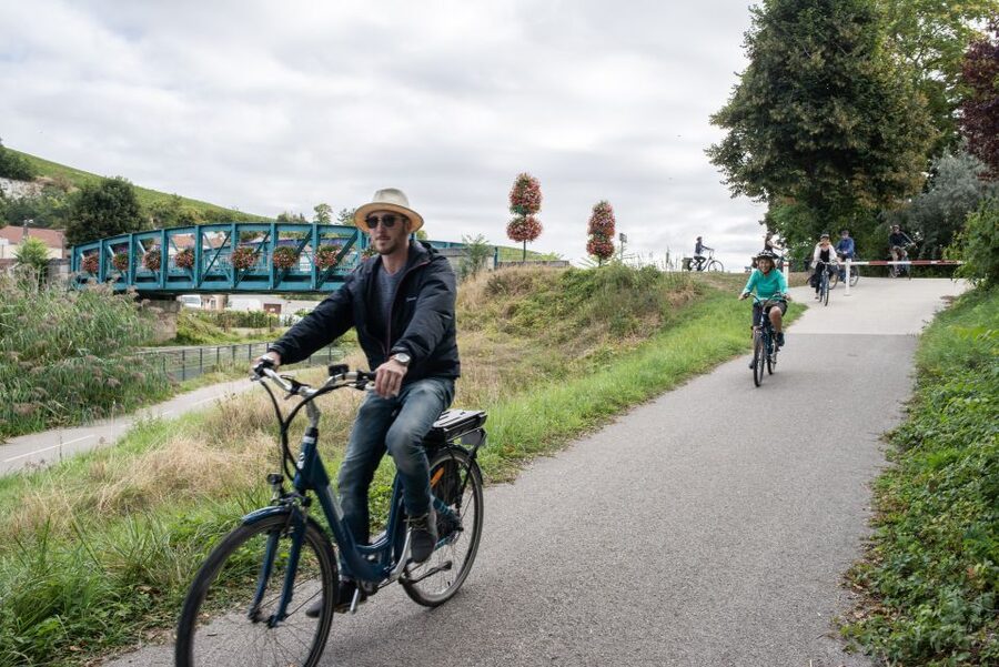 Champagne: E-Bike Champagne Day Tour with Tastings and Lunch - Who should book this Champagne e-bike tour?