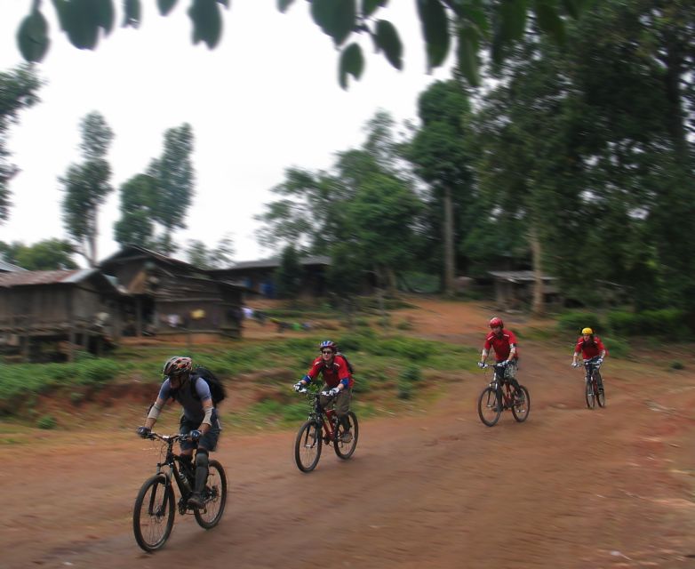 Chiang Mai: 20km Downhill Mountain Biking Challenge Suthep M - The Hmong village and the two-hour descent
