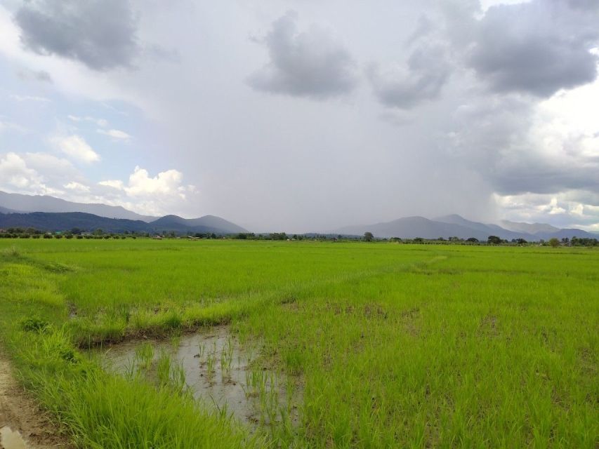 Chiang Mai: 25km Leisure Mountain Biking & Jungle Kayaking - Guides, pace, and practical comfort