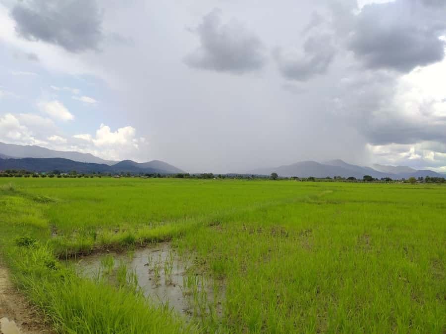 Chiang Mai: 25km Leisure Mountain Biking & Jungle Kayaking - What the $65 price really covers