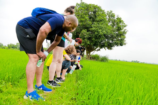 Chiang Mai Active E-bike Countryside Ride - A rest at Royal Park Rajapruek