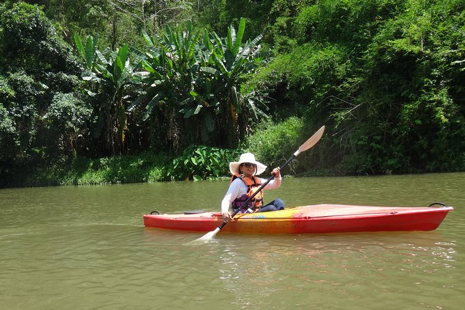 Chiang Mai Biking & River Kayak : Gentle Thrills in a Lush Valley - Key points to know before booking
