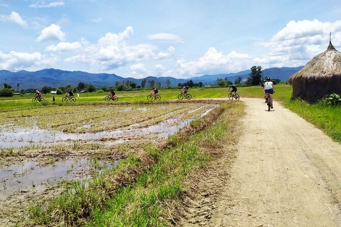 Chiang Mai Biking & River Kayak : Gentle Thrills in a Lush Valley - Equipment, safety, and support