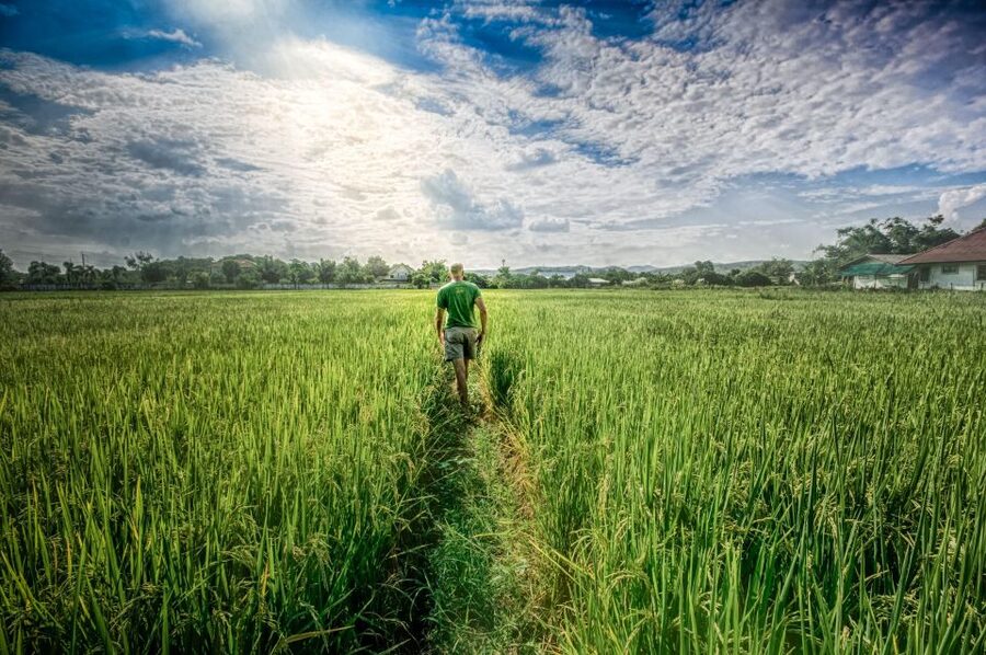 Chiang Mai: Countryside Adventure by Bike - Forest lanes near Doi Suthep