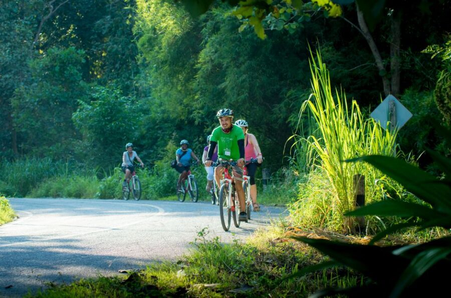 Chiang Mai Countryside E-bike Ride with Expert Guide & Lunch - Orchards, canals, and the road back toward Chiang Mai